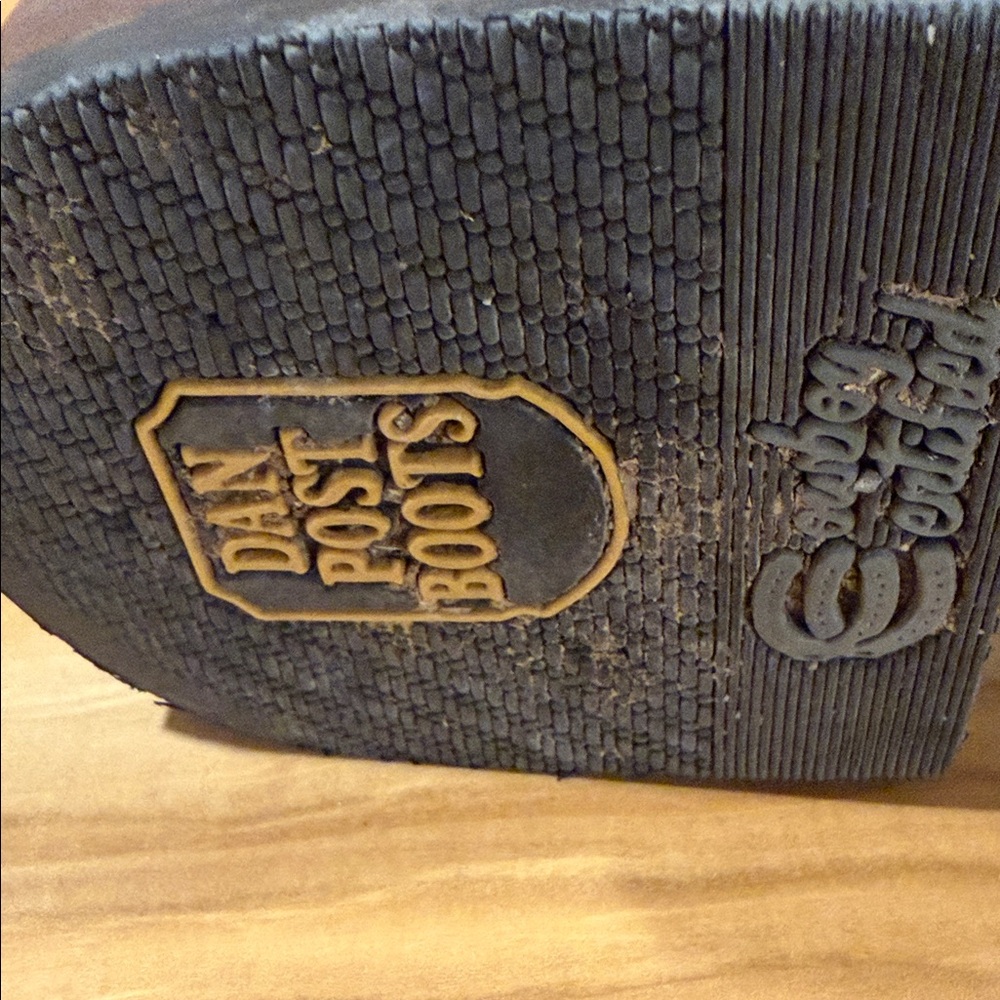 Dan Post Brown Crocodile Pattern Boots - image 4